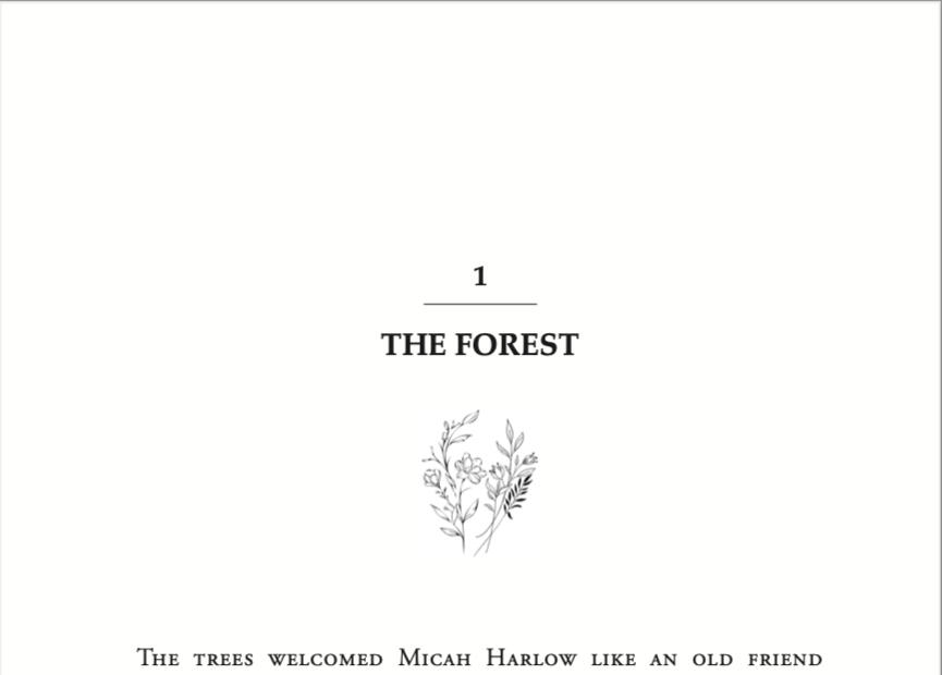 Decorative chapter header