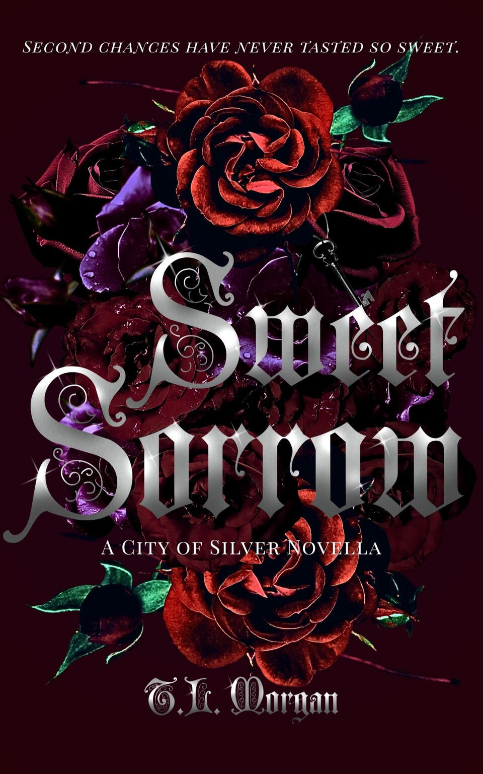 Ebook Cover Ebook Cover