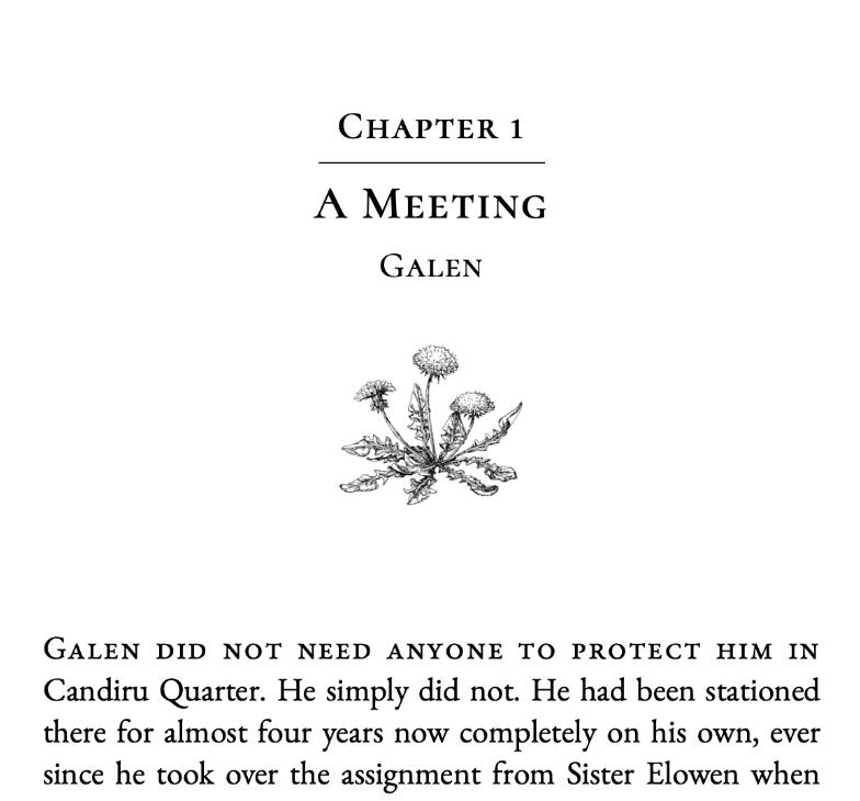 Numbered chapter with title and subtitle, + decoration